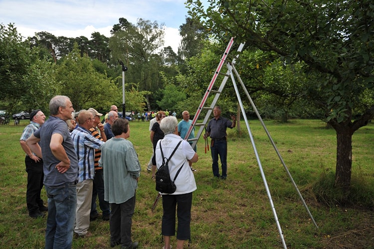 Sommerschnittkurs