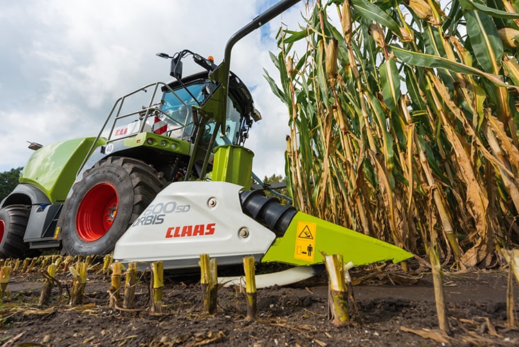 Orbis 600